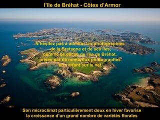 l’île de Bréhat - Côtes d’Armor
Son microclimat particulièrement doux en hiver favorise
la croissance d’un grand nombre de variétés florales
N’hésitez pas à admirer les photographies
de la Bretagne et de ses îles,
comme ce cliché de l’île de Bréhat,
prises par de nombreux photographes
en surfant sur le net.
 