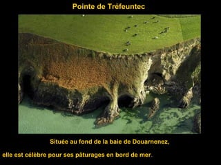 Pointe de Tréfeuntec
Située au fond de la baie de Douarnenez,
elle est célèbre pour ses pâturages en bord de mer.
 