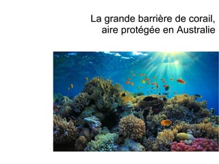La grande barrière de corail,
aire protégée en Australie
 