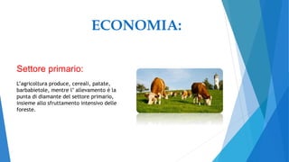 ECONOMIA:
Settore primario:
L’agricoltura produce, cereali, patate,
barbabietole, mentre l’ allevamento è la
punta di diamante del settore primario,
insieme allo sfruttamento intensivo delle
foreste.
 