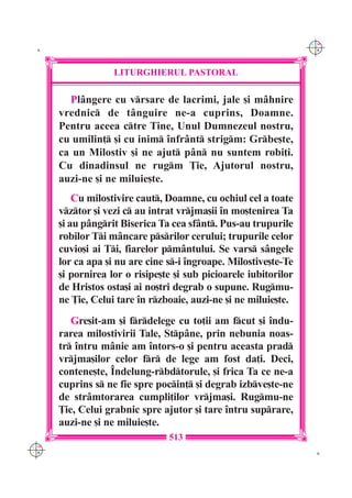 C M
 K                                                                Y K




                   LITURGHIERUL PASTORAL

        Pl=ngere cu vrsare de lacrimi, jale [i m=hnire
      vrednic de t=nguire ne-a cuprins, Doamne.
      Pentru aceea ctre Tine, Unul Dumnezeul nostru,
      cu umilin] [i cu inim `nfr=nt strigm: Grbe[te,
      ca un Milostiv [i ne ajut p=n nu suntem robi]i.
      Cu dinadinsul ne rugm }ie, Ajutorul nostru,
      auzi-ne [i ne miluie[te.
          Cu milostivire caut, Doamne, cu ochiul cel a toate
      vztor [i vezi c au intrat vrjma[ii `n mo[tenirea Ta
      [i au p=ngrit Biserica Ta cea sf=nt. Pus-au trupurile
      robilor Ti m=ncare psrilor cerului; trupurile celor
      cuvio[i ai Ti, fiarelor pm=ntului. Se vars s=ngele
      lor ca apa [i nu are cine s-i `ngroape. Milostive[te-Te
      [i pornirea lor o risipe[te [i sub picioarele iubitorilor
      de Hristos osta[i ai no[tri degrab o supune. Rugmu-
      ne }ie, Celui tare `n rzboaie, auzi-ne [i ne miluie[te.
         Gre[it-am [i frdelege cu to]ii am fcut [i `ndu-
      rarea milostivirii Tale, Stp=ne, prin nebunia noas-
      tr `ntru m=nie am `ntors-o [i pentru aceasta prad
      vrjma[ilor celor fr de lege am fost da]i. Deci,
      contene[te, ~ndelung-rbdtorule, [i frica Ta ce ne-a
      cuprins s ne fie spre pocin] [i degrab izbve[te-ne
      de str=mtorarea cumpli]ilor vrjma[i. Rugmu-ne
      }ie, Celui grabnic spre ajutor [i tare `ntru suprare,
      auzi-ne [i ne miluie[te.
                                513
C M
Y K                                                                K
 