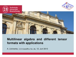Multilinear algebra and different tensor
formats with applications
A. Litvinenko, litvinen@tu-bs.de, 12. Juni 2013
CC
SCScientifi omputing
 