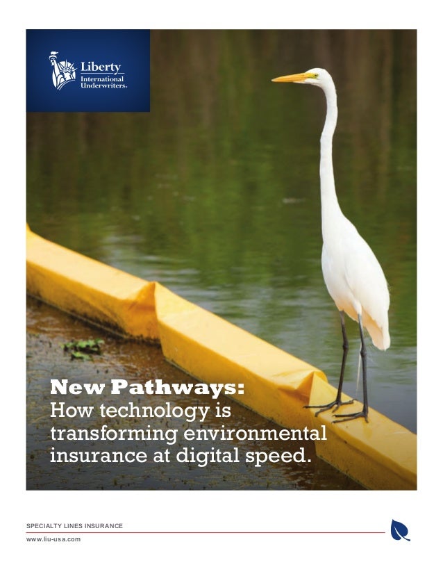 New Pathways How technology is transforming environmental