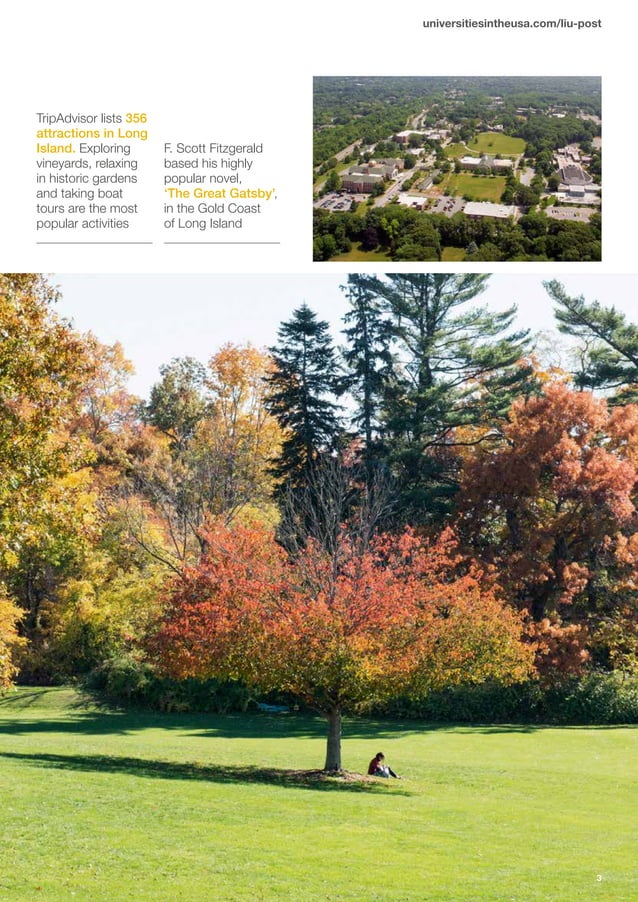 Long Island University post brochure PDF