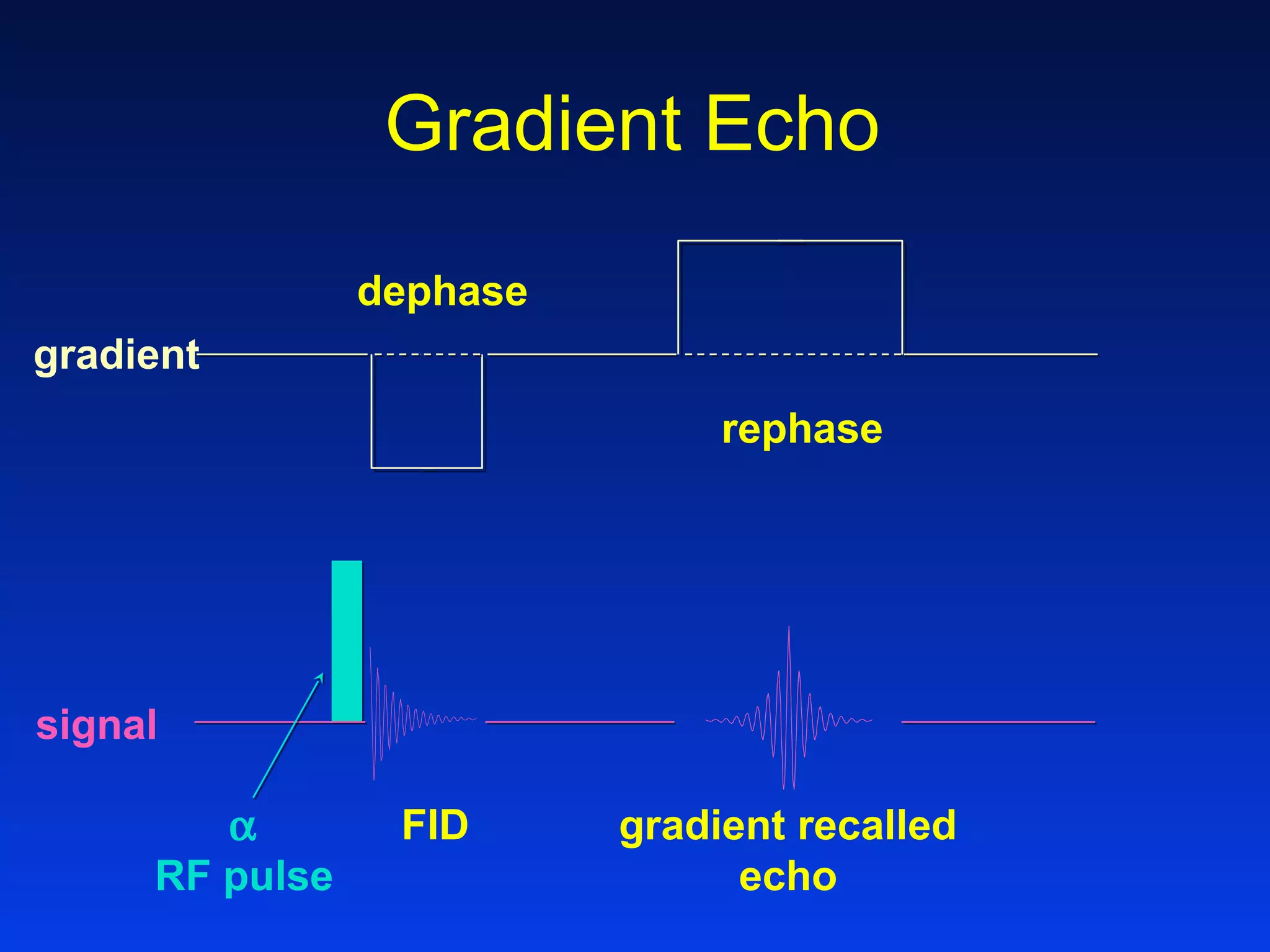 Gradient Echo
FID gradient recalled
echo
α
RF pulse
rephase
dephase
signal
gradient
 