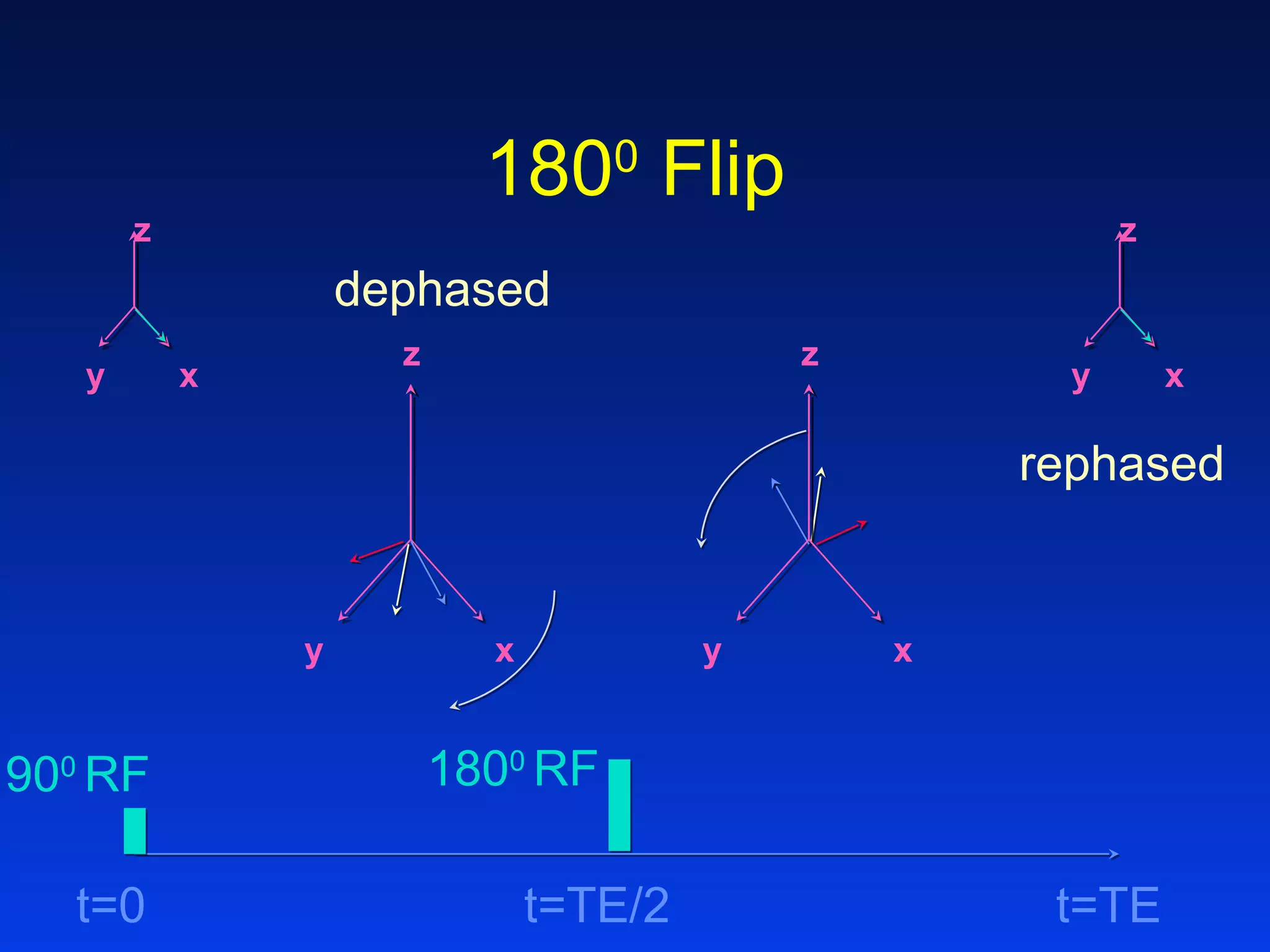 z
y x
z
y x
z
y x
z
y x
t=TE/2 t=TE
1800
RF
t=0
900
RF
dephased
rephased
1800
Flip
 