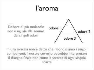 L’odore di più molecole
non è uguale alla somma
dei singoli odori
odore 1
odore 2
odore 3
In una miscela non è detto che riconosciamo i singoli
componenti, il nostro cervello potrebbe interpretare
il disegno ﬁnale non come la somma di ogni singola
sbarra
l’aroma
 