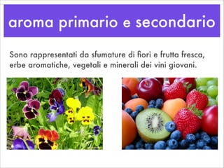 aroma primario e secondario
Sono rappresentati da sfumature di ﬁori e frutta fresca,
erbe aromatiche, vegetali e minerali dei vini giovani.
 