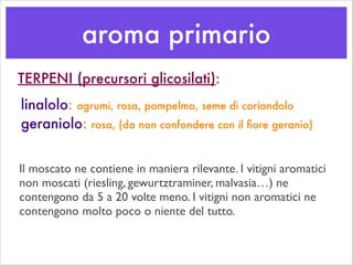 aroma primario
TERPENI (precursori glicosilati):
linalolo: agrumi, rosa, pompelmo, seme di coriandolo
geraniolo: rosa, (da non confondere con il ﬁore geranio)
Il moscato ne contiene in maniera rilevante. I vitigni aromatici
non moscati (riesling, gewurtztraminer, malvasia…) ne
contengono da 5 a 20 volte meno. I vitigni non aromatici ne
contengono molto poco o niente del tutto.
 