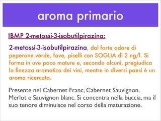 aroma primario
2-metossi-3-isobutilpirazina, dal forte odore di
peperone verde, fave, piselli con SOGLIA di 2 ng/l. Si
forma in uve poco mature e, secondo alcuni, pregiudica
la ﬁnezza aromatica dei vini, mentre in diversi paesi è un
aroma ricercato.
Presente nel Cabernet Franc, Cabernet Sauvignon,
Merlot e Sauvignon blanc. Si concentra nella buccia, ma il
suo tenore diminuisce nel corso della maturazione.
IBMP 2-metossi-3-isobutilpirazina:
 