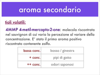 aroma secondario
4MMP 4-metil-mercapto-2-one: molecola riscontrata
nel sauvignon di cui varia la percezione al variare della
concentrazione. E’ stato il primo aroma positivo
riscontrato contenente zolfo.
tioli volatili:
bassa conc. bosso / ginestra
+ conc. pipì di gatto
++ conc. odori saponosi
 
