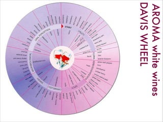 DAVISWHEEL
AROMAwhitewines
 