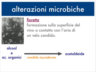 alterazioni microbiche
ﬁoretta 
formazione sulla superﬁcie del
vino a contatto con l’aria di
un velo candido.
alcool
e acetaldeide
candida mycodermaac. organici
 