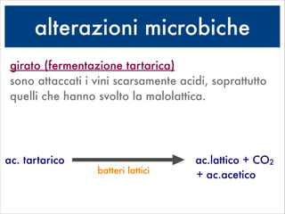 alterazioni microbiche
girato (fermentazione tartarica) 
sono attaccati i vini scarsamente acidi, soprattutto
quelli che hanno svolto la malolattica.
ac. tartarico ac.lattico + CO2
batteri lattici
+ ac.acetico
 