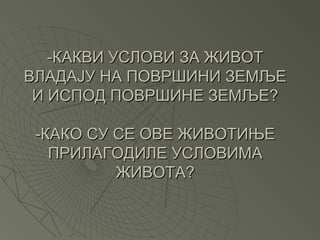 -КАКВИ УСЛОВИ ЗА ЖИВОТ
ВЛАДАЈУ НА ПОВРШИНИ ЗЕМЉЕ
 И ИСПОД ПОВРШИНЕ ЗЕМЉЕ?

 -КАКО СУ СЕ ОВЕ ЖИВОТИЊЕ
   ПРИЛАГОДИЛЕ УСЛОВИМА
          ЖИВОТА?
 