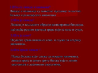 1.Шта су ливаде и пашњаци? 
Ливаде и пашњаци су животне заједнице зељастих 
биљака и разноврсних животиња 
2.Шта је ливада? 
Ливада је земљиште обрасло разноврсним биљкама, 
најчешће разним врстама трава које се косе и суше. 
3.Шта је сено? 
Осушена трава назива се сено и служи за исхрану 
животиња. 
4.Шта краси ливаде ? 
Поред биљака које служе за исхрану животиња, 
ливаде красе и многе друге биљке које с лепим 
цветовима и лековитим својствима. 
 