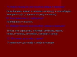9. Поред биљака ко још посећује ливаде и пашњаке? 
Осим биљака, ливаде и пашњаке настањују и многобројне 
живориње које ту проналазе храну и смештај. 
10. Које животиње су најбројније? 
Најбројнији су инсекти. 
11. Наброји инсекте који посећују ливаде и пашњаке? 
Пчеле, осе, стршљени, бумбари, бубамаре, мрави, 
свици, гусеница, лептирићи, скакавци и цвчци. 
12. Шта може да се нађе у трави? 
У трави могу да се нађу и змије и гуштери. 
 