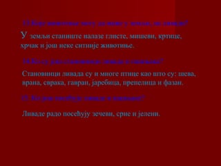 13.Које животиње могу да живе у земљи, на ливади? 
У земљи станиште налазе глисте, мишеви, кртице, 
хрчак и још неке ситније животиње. 
14.Ко су још становници ливада и пашњака? 
Становници ливада су и многе птице као што су: шева, 
врана, сврака, гавран, јаребица, препелица и фазан. 
15. Ко још посећује ливаде и пашњаке? 
Ливаде радо посећују зечеви, срне и јелени. 
