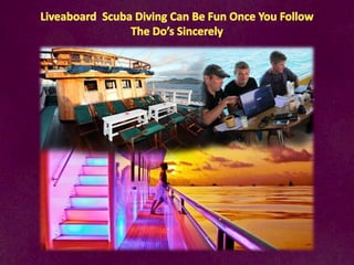 Live aboard-scuba