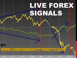 LIVE FOREX
SIGNALS

BY
WWW.THEFOREXNITTYGRITTY.COM

 