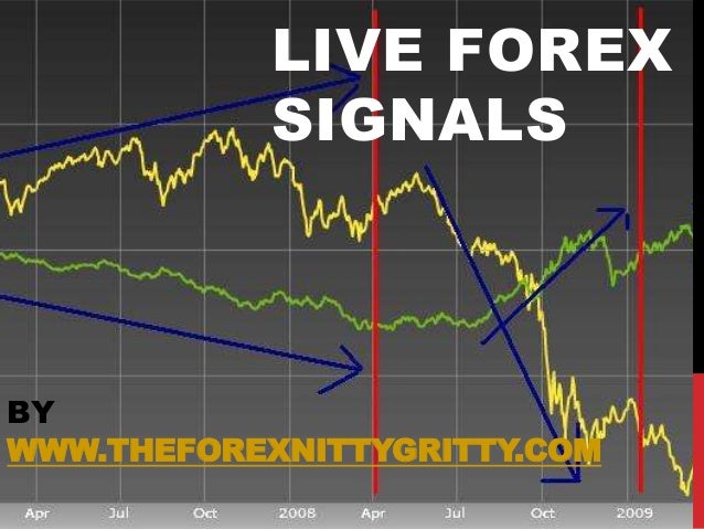 forex signals forex signals