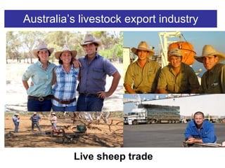 Australia’s livestock export industry Live sheep trade 