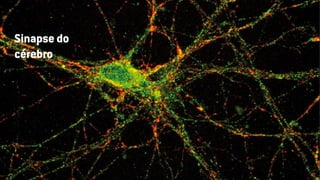 Sinapse do
cérebro
 
