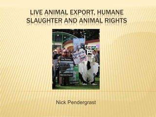 LIVE ANIMAL EXPORT, HUMANE
SLAUGHTER AND ANIMAL RIGHTS




       Nick Pendergrast
 