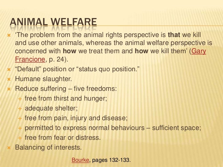 Live Animal Export, Humane Slaughter + Animal Rights