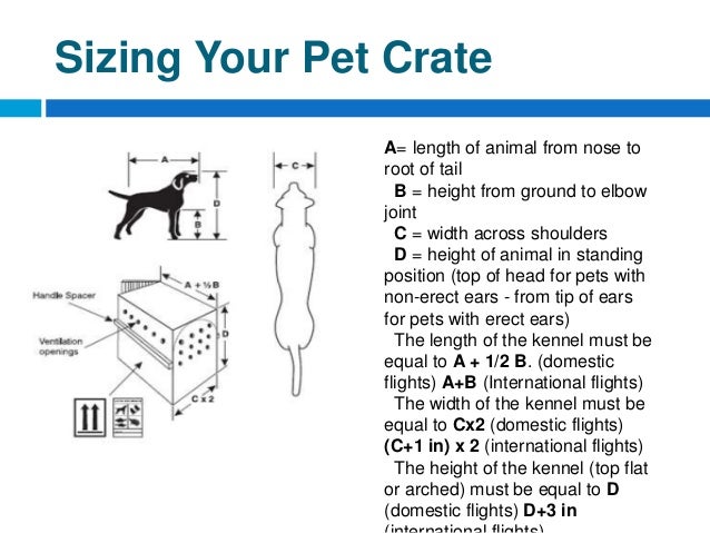 Live Animals Regulations