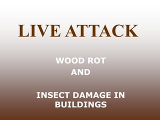 LIVE ATTACK
WOOD ROT
AND
INSECT DAMAGE IN
BUILDINGS
 