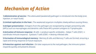 An Introduction to Live attenuated vaccine.pptx