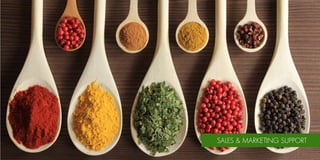 SALES & MARKETING SUPPORT
 