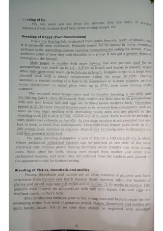 LIVE BEARING FISH BREEDING