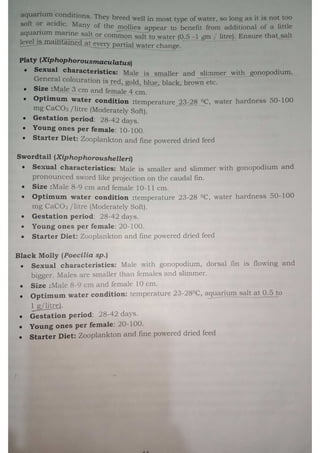 LIVE BEARING FISH BREEDING