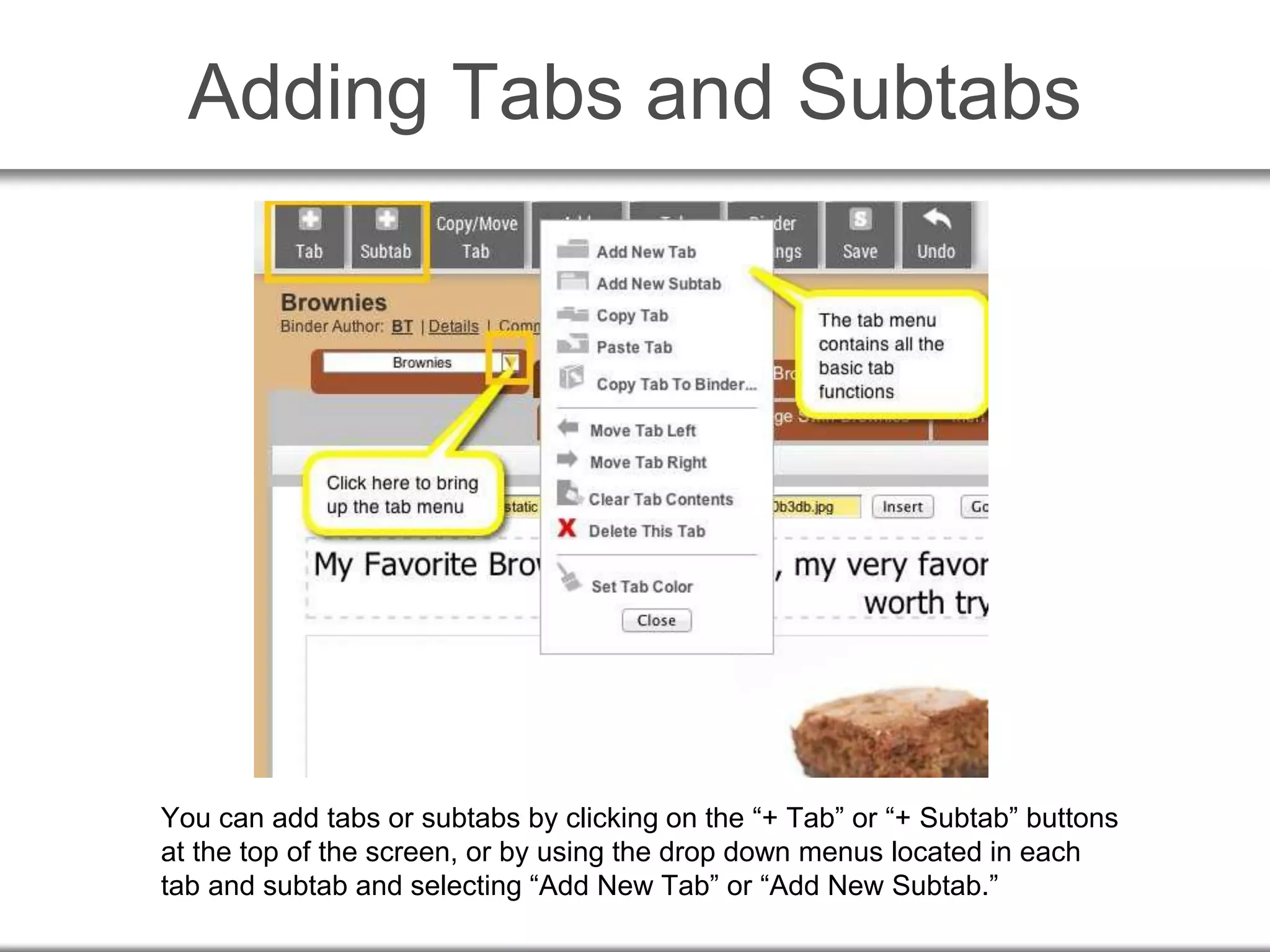 Adding Tabs and Subtabs
You can add tabs or subtabs by clicking on the “+ Tab” or “+ Subtab” buttons
at the top of the screen, or by using the drop down menus located in each
tab and subtab and selecting “Add New Tab” or “Add New Subtab.”
 