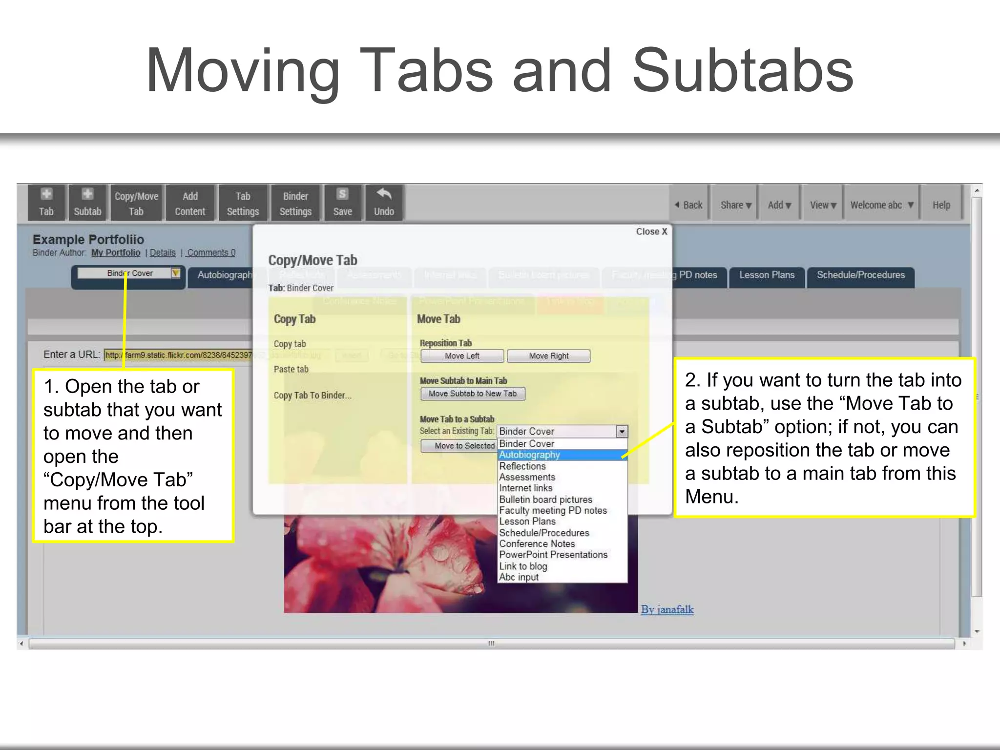 Moving Tabs and Subtabs
1. Open the tab or
subtab that you want
to move and then
open the
“Copy/Move Tab”
menu from the tool
bar at the top.
2. If you want to turn the tab into
a subtab, use the “Move Tab to
a Subtab” option; if not, you can
also reposition the tab or move
a subtab to a main tab from this
Menu.
 