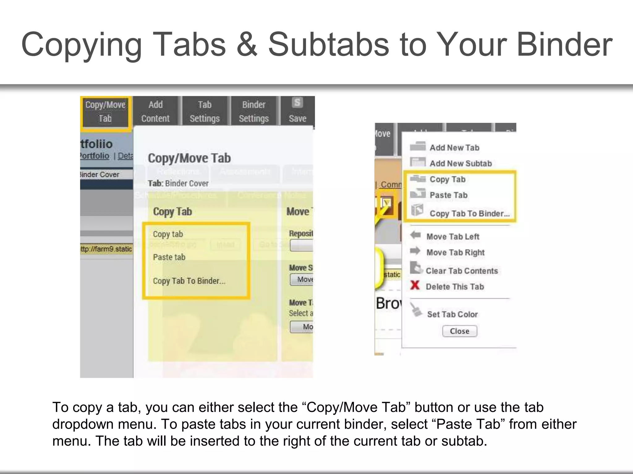 Copying Tabs & Subtabs to Your Binder
To copy a tab, you can either select the “Copy/Move Tab” button or use the tab
dropdown menu. To paste tabs in your current binder, select “Paste Tab” from either
menu. The tab will be inserted to the right of the current tab or subtab.
 