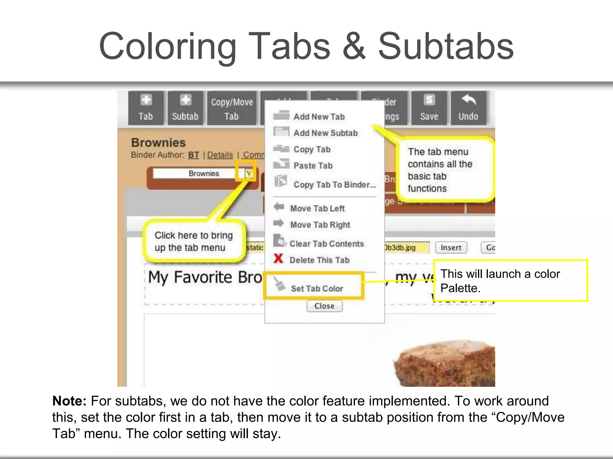 Coloring Tabs & Subtabs
This will launch a color
Palette.
Note: For subtabs, we do not have the color feature implemented. To work around
this, set the color first in a tab, then move it to a subtab position from the “Copy/Move
Tab” menu. The color setting will stay.
 