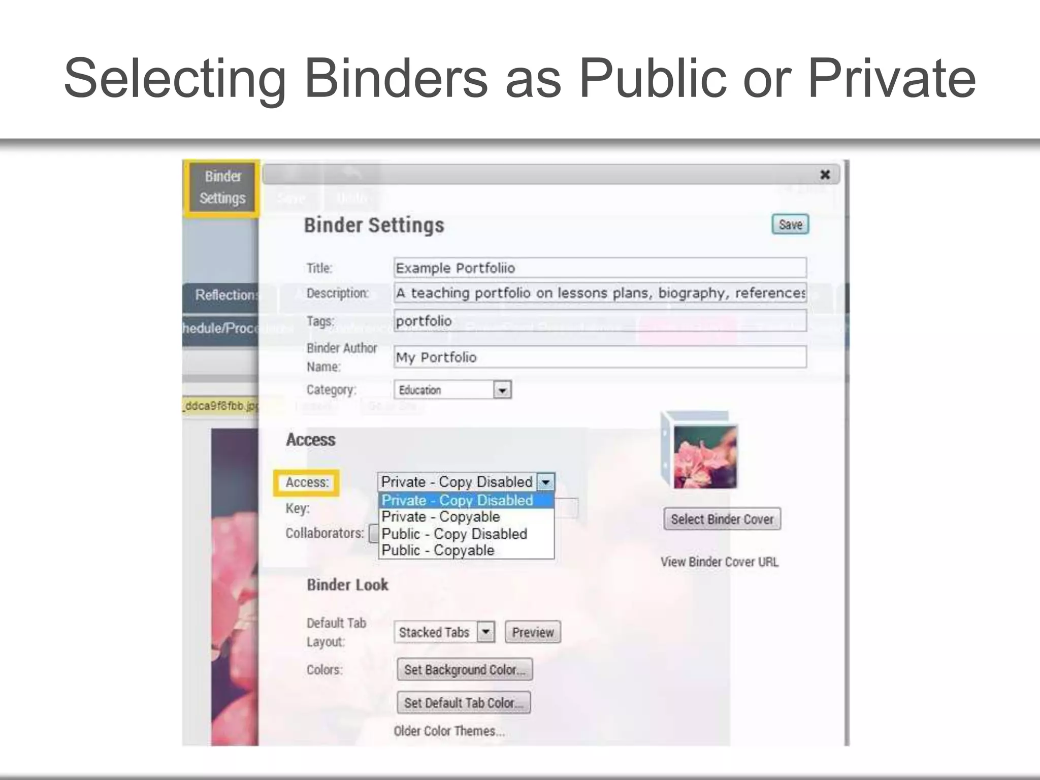 Selecting Binders as Public or Private
 