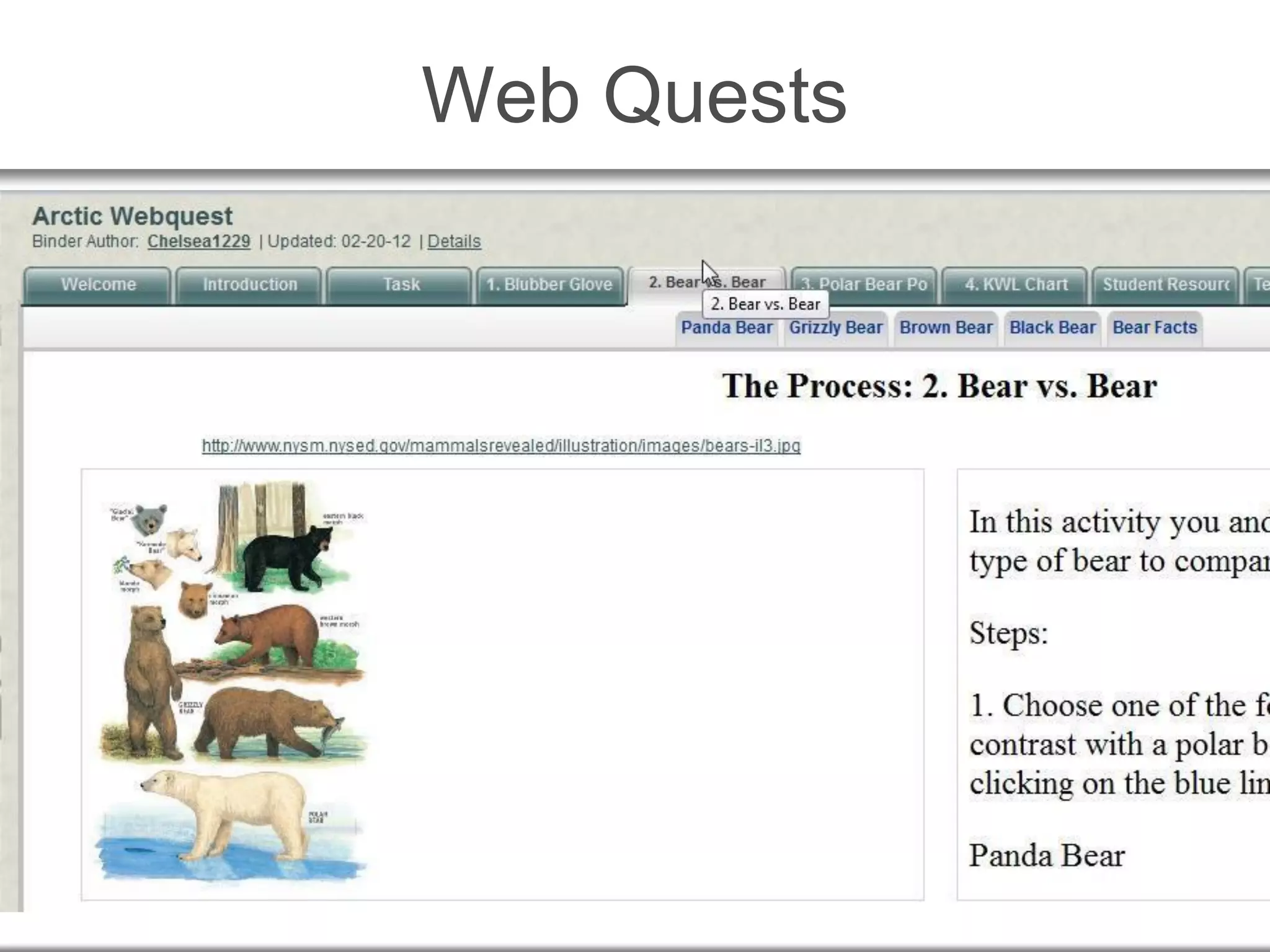 Web Quests
 