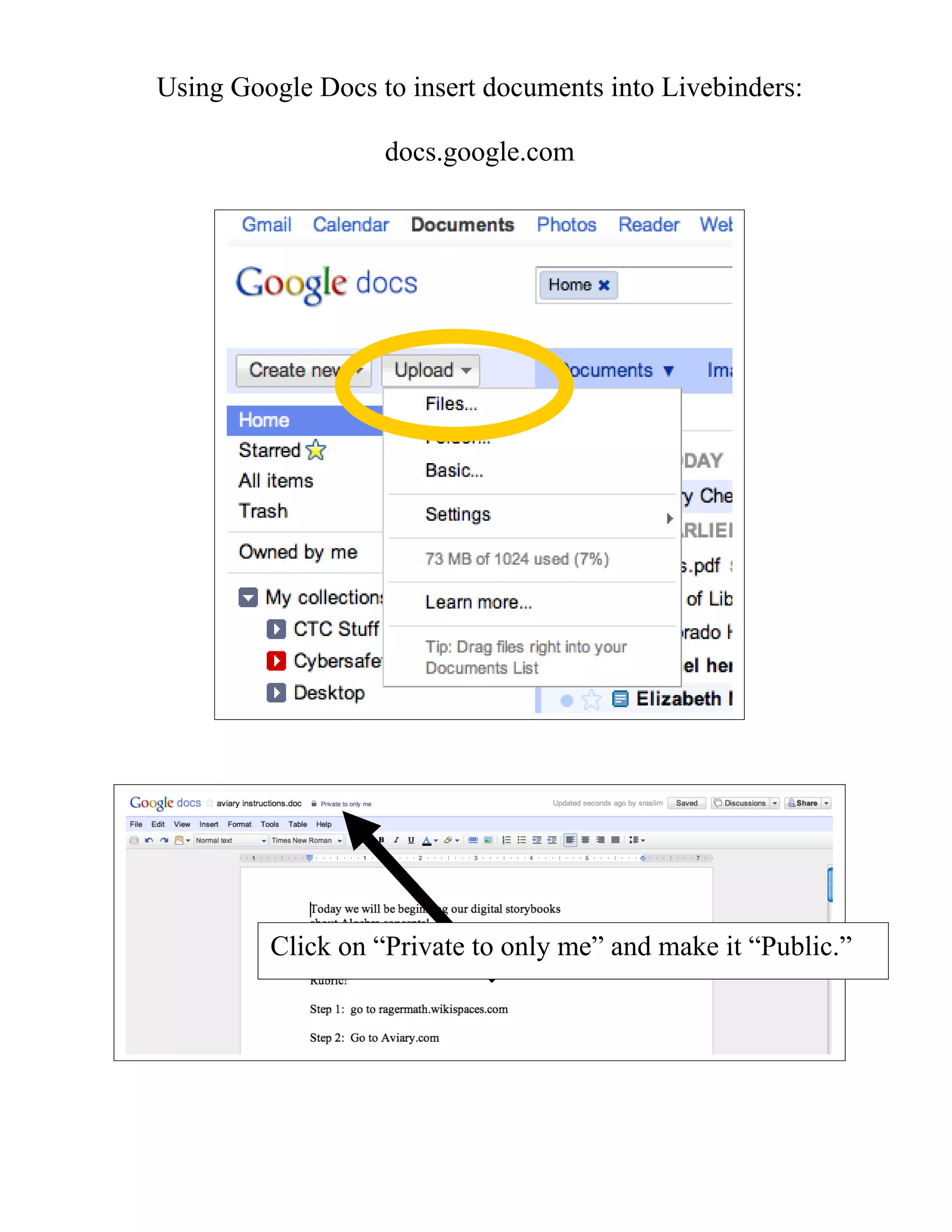 Using Google Docs to insert documents into Livebinders:

                   docs.google.com




         Click on “Private to only me” and make it “Public.”
 