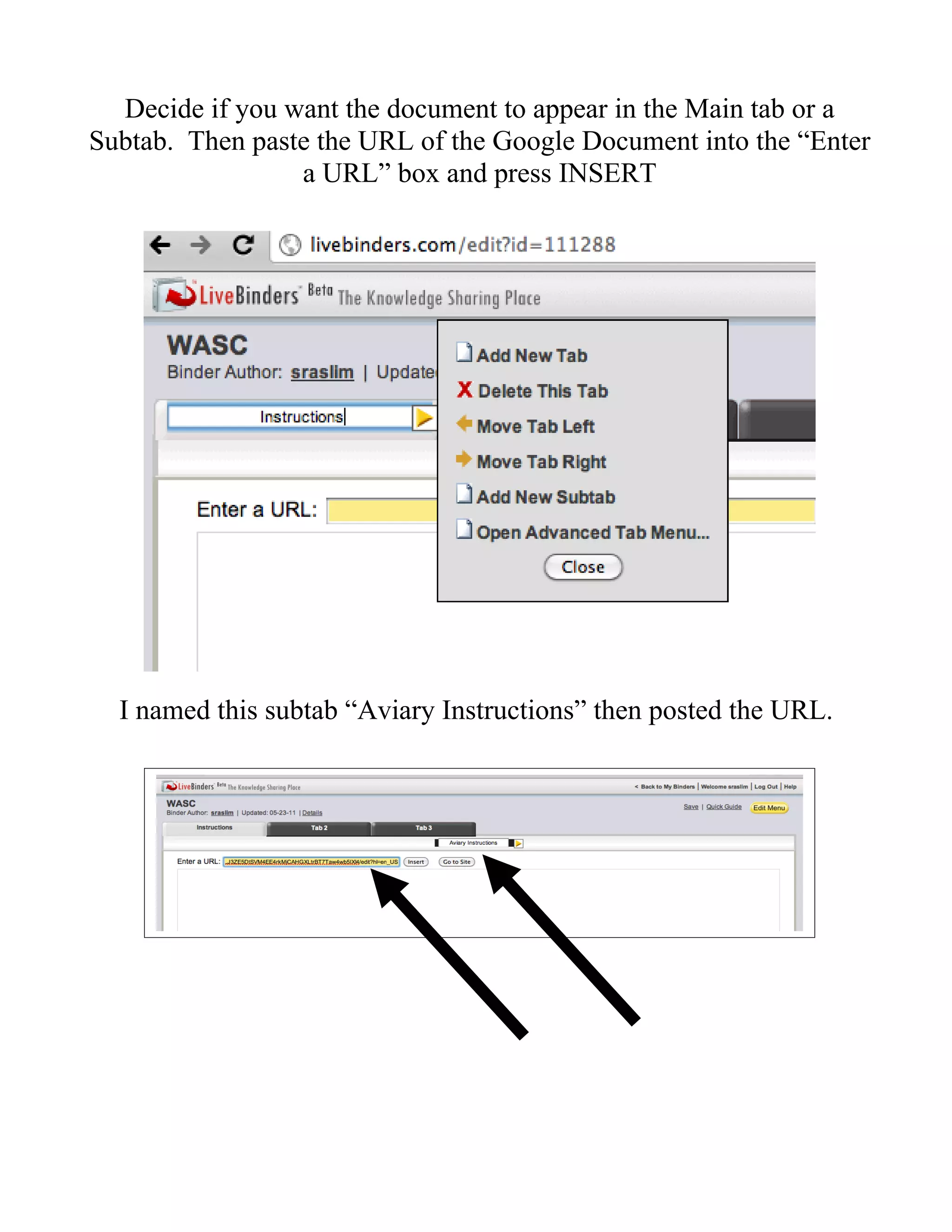 Decide if you want the document to appear in the Main tab or a
Subtab. Then paste the URL of the Google Document into the “Enter
                 a URL” box and press INSERT




  I named this subtab “Aviary Instructions” then posted the URL.
 