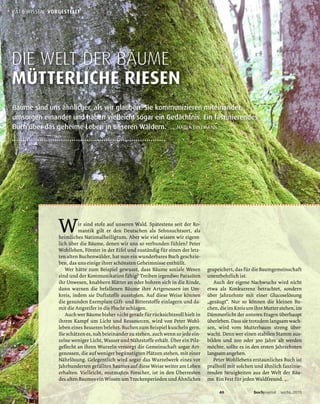 Bäume sind uns ähnlicher, als wir glauben. Sie kommunizieren miteinander,
umsorgen einander und haben vielleicht sogar ein Gedächtnis. Ein faszinierendes
Buch über das geheime Leben in unseren Wäldern.
DIE WELT DER BÄUME
MÜTTERLICHE RIESEN
←
→ NADJA EINZMANN
40 buchjournal sechs.2015
RAT & WISSEN . VORGESTELLT
 