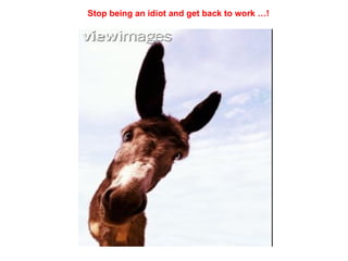 Stop being an idiot and get back to work …!                                    
