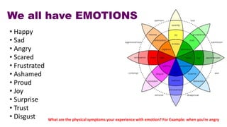 Emotional Intelligence in the Workplace by Gina Willoughby
