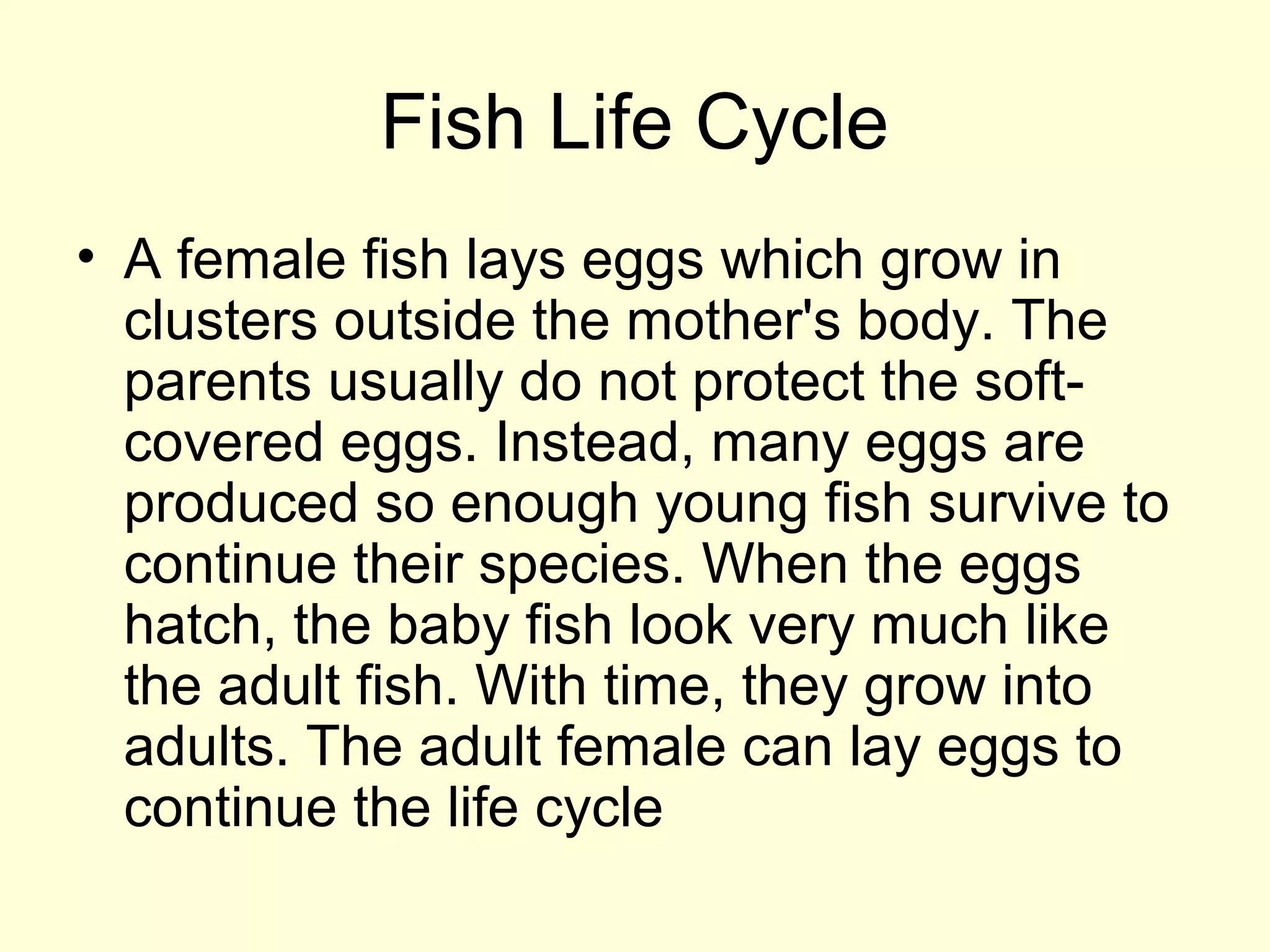 Fish Life Cycle
• A female fish lays eggs which grow in
clusters outside the mother's body. The
parents usually do not protect the soft-
covered eggs. Instead, many eggs are
produced so enough young fish survive to
continue their species. When the eggs
hatch, the baby fish look very much like
the adult fish. With time, they grow into
adults. The adult female can lay eggs to
continue the life cycle
 