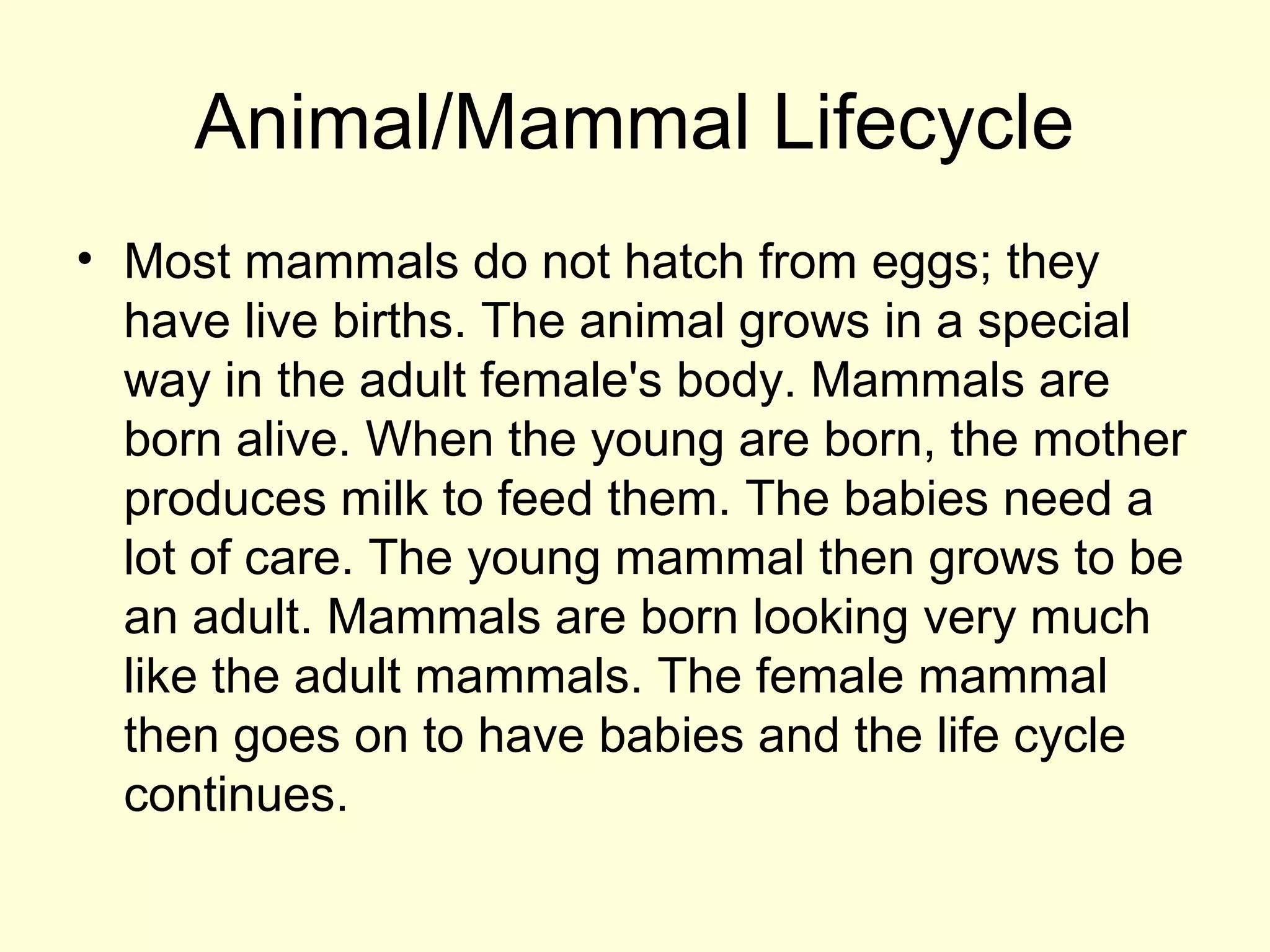Animal/Mammal Lifecycle
• Most mammals do not hatch from eggs; they
have live births. The animal grows in a special
way in the adult female's body. Mammals are
born alive. When the young are born, the mother
produces milk to feed them. The babies need a
lot of care. The young mammal then grows to be
an adult. Mammals are born looking very much
like the adult mammals. The female mammal
then goes on to have babies and the life cycle
continues.
 