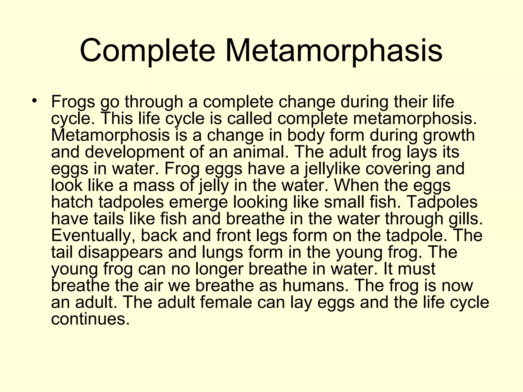 Complete Metamorphasis
• Frogs go through a complete change during their life
cycle. This life cycle is called complete metamorphosis.
Metamorphosis is a change in body form during growth
and development of an animal. The adult frog lays its
eggs in water. Frog eggs have a jellylike covering and
look like a mass of jelly in the water. When the eggs
hatch tadpoles emerge looking like small fish. Tadpoles
have tails like fish and breathe in the water through gills.
Eventually, back and front legs form on the tadpole. The
tail disappears and lungs form in the young frog. The
young frog can no longer breathe in water. It must
breathe the air we breathe as humans. The frog is now
an adult. The adult female can lay eggs and the life cycle
continues.
 