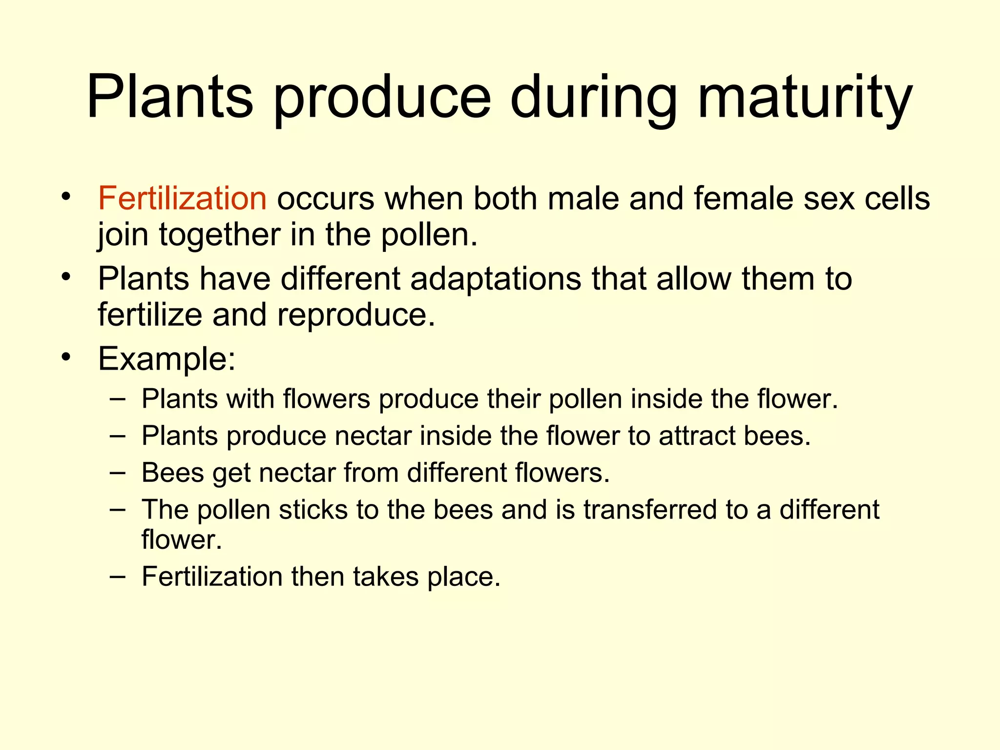 Plants produce during maturity
• Fertilization occurs when both male and female sex cells
join together in the pollen.
• Plants have different adaptations that allow them to
fertilize and reproduce.
• Example:
– Plants with flowers produce their pollen inside the flower.
– Plants produce nectar inside the flower to attract bees.
– Bees get nectar from different flowers.
– The pollen sticks to the bees and is transferred to a different
flower.
– Fertilization then takes place.
 